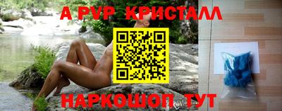 СК Гагарин