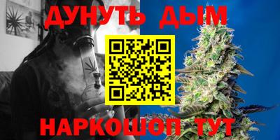 трава Гатчина