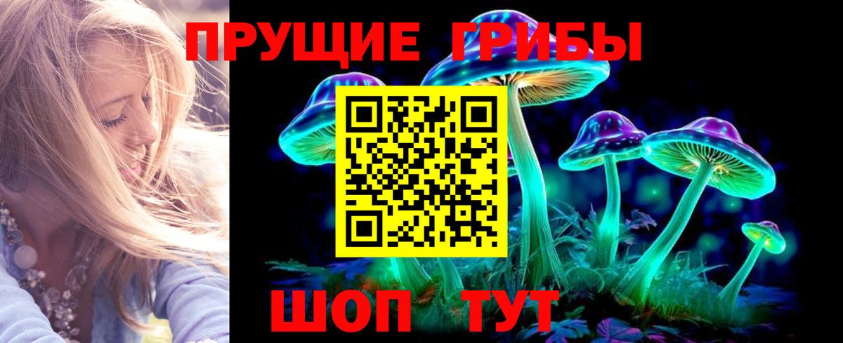 купить  сайты  Вход с VPN  Ногинск  Галлюциногенные грибы мухоморы  Галлюциногенные грибы Psilocybe 
