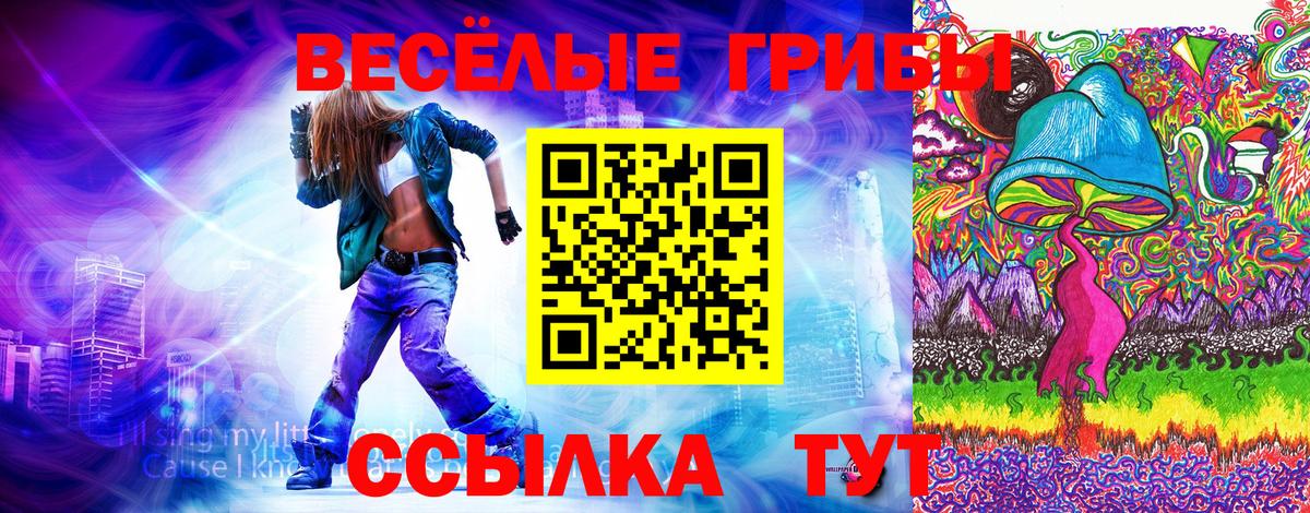 Псилоцибиновые грибы GOLDEN TEACHER Ногинск